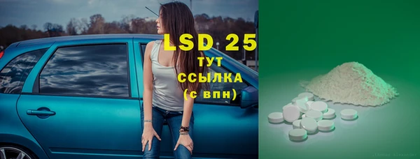 PSILOCYBIN Волосово