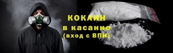 PSILOCYBIN Волосово
