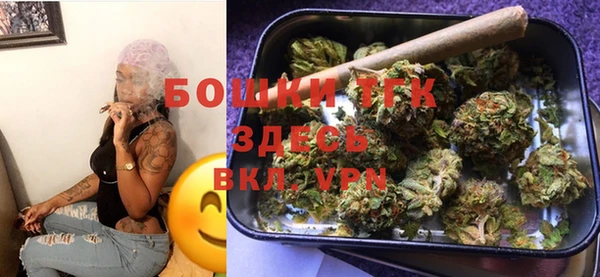 PSILOCYBIN Волосово